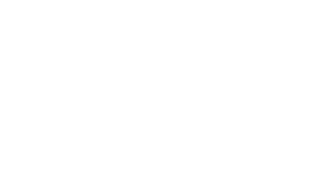 The Soul Strategist Opening